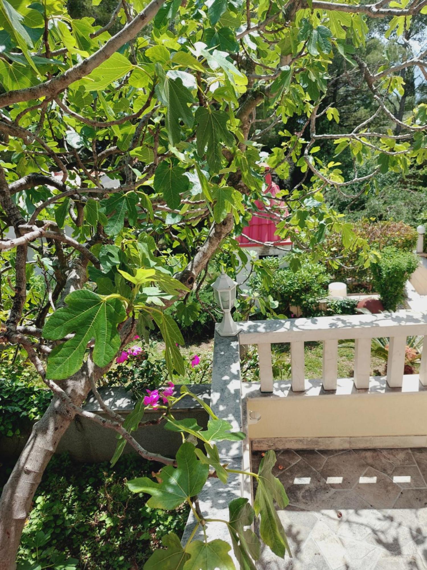 Villa Rosso 바스카보다 객실 사진